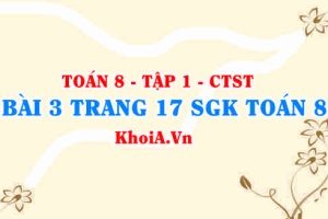 Bài 3 trang 17 SGK Toán 8 Tập 1 Chân trời sáng tạo